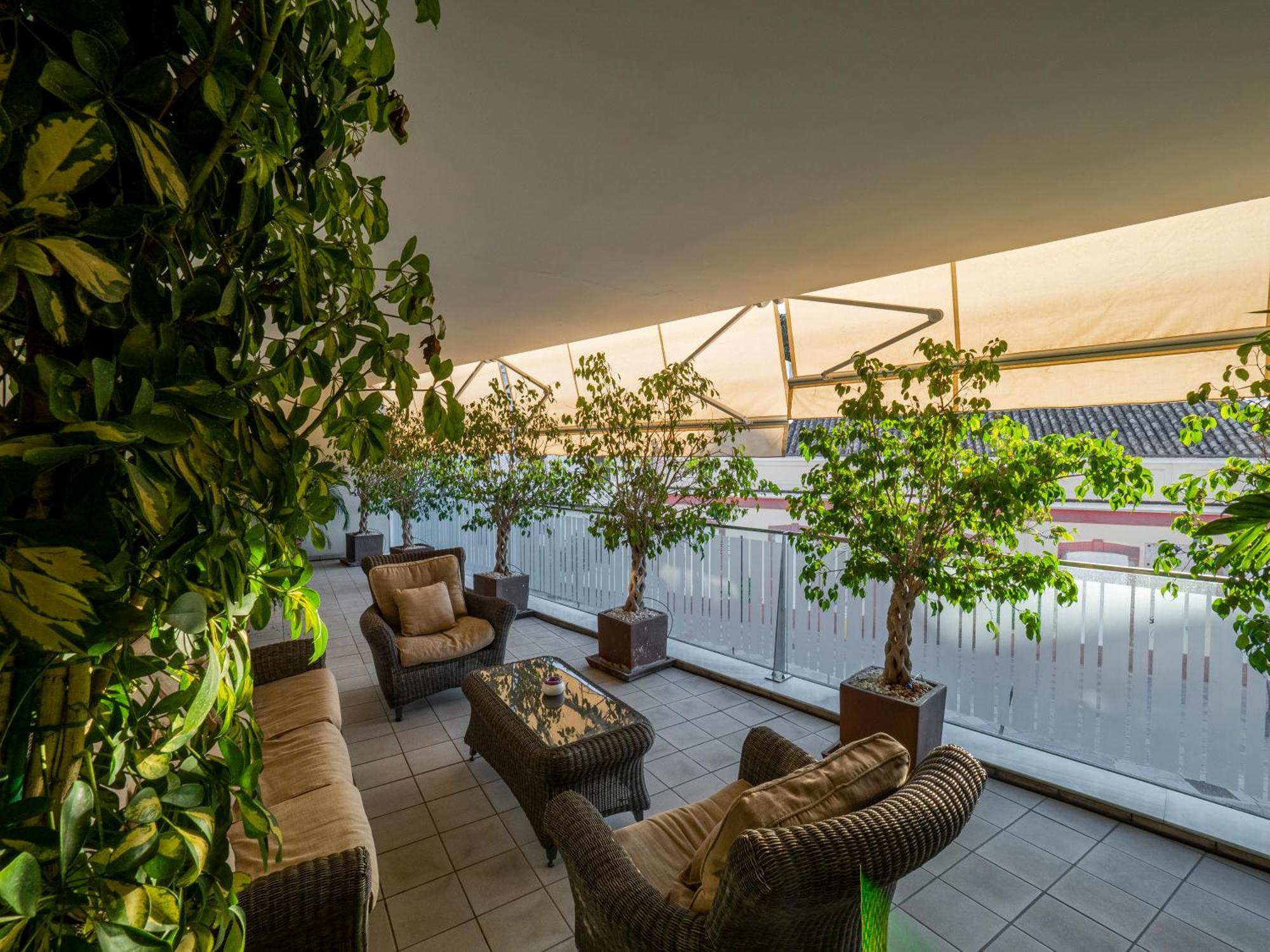 Apto Valdespino Gran Terraza Fjhomefj Jerez de la Frontera Exteriér fotografie